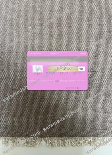 Argentina Bank of the Province of Buenos Aires visa card photolook back